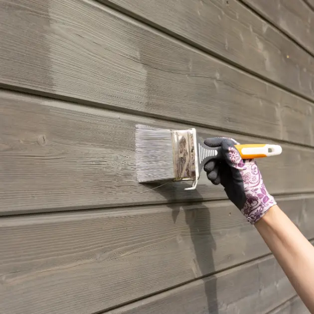 Fence Painting